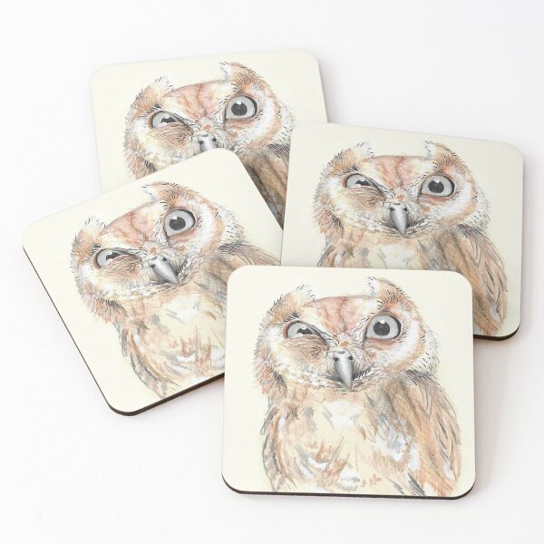 Item preview, suspicious owl designed and sold by Kimberley Cummings Illustration.