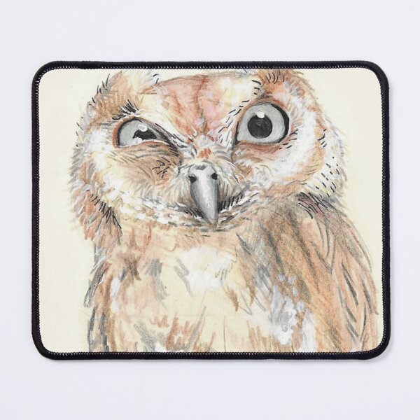 Item preview, suspicious owl designed and sold by Kimberley Cummings Illustration.