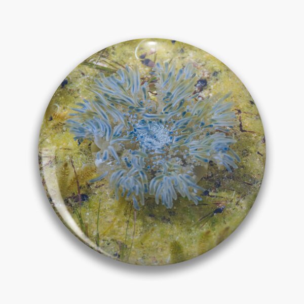 Item preview, Sea Anemone in a Saltwater Pool designed and sold by Kasia Design.