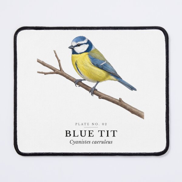 Item preview, Blue Tit Vintage Bird Plate - Cyanistes caeruleus designed and sold by SavannahMerch.