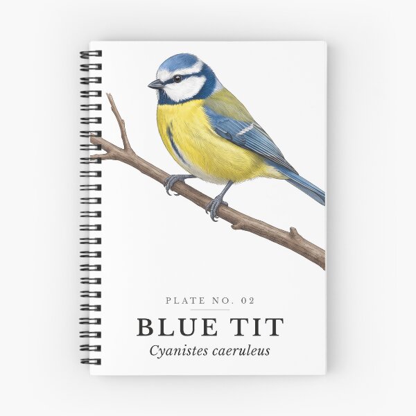 Item preview, Blue Tit Vintage Bird Plate - Cyanistes caeruleus designed and sold by SavannahMerch.
