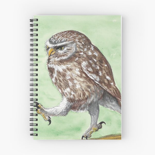 Item preview, Grumpy Owl designed and sold by Kimberley Cummings Illustration.