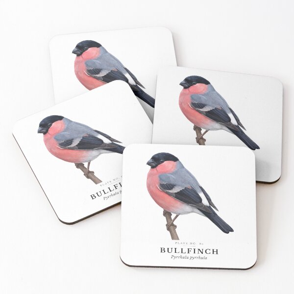 Item preview, Bullfinch Vintage Bird Plate - Pyrrhula pyrrhula designed and sold by SavannahMerch.