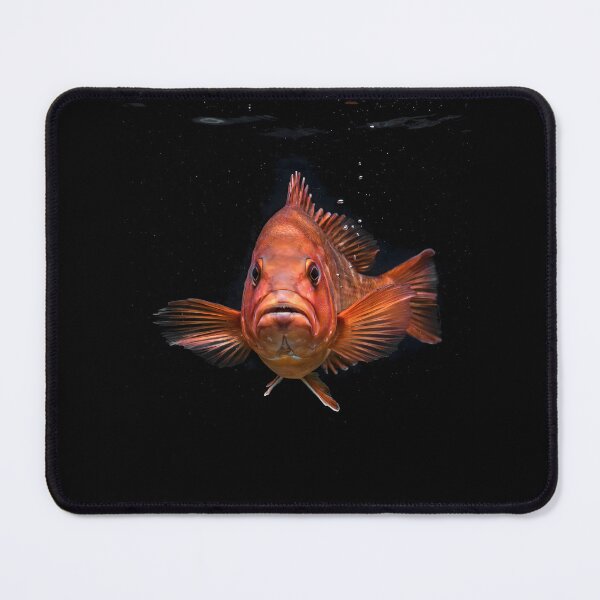Item preview, Garibaldi Fish Kelp Forest California Ocean Life designed and sold by Redgiant87x.