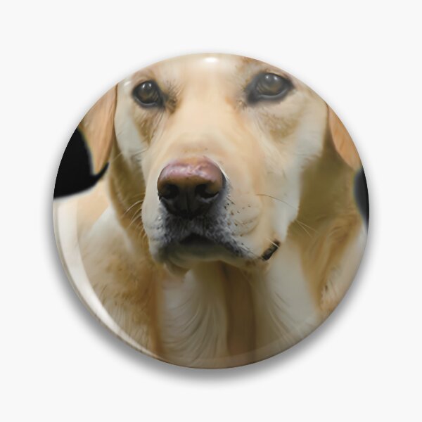 Item preview, Hangover Ii 2 Yellow Lab Dog The Real One Zach Galifianakis designed and sold by oana2711.