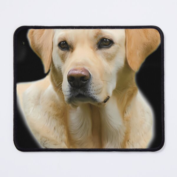 Item preview, Hangover Ii 2 Yellow Lab Dog The Real One Zach Galifianakis designed and sold by oana2711.