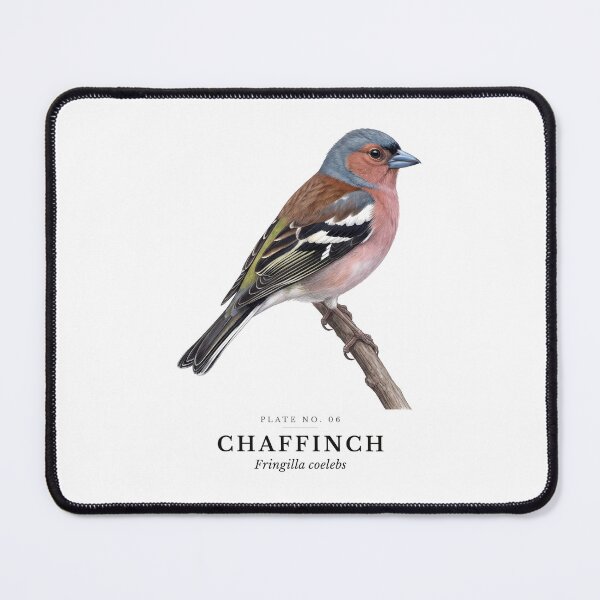 Item preview, Chaffinch Vintage Bird Plate - Fringilla coelebs designed and sold by SavannahMerch.