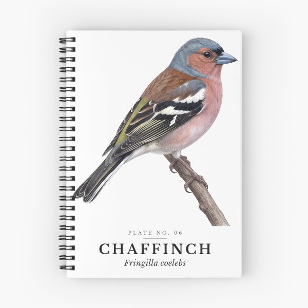 Item preview, Chaffinch Vintage Bird Plate - Fringilla coelebs designed and sold by SavannahMerch.