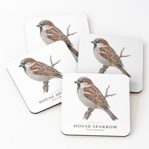 Item preview, House Sparrow Vintage Bird Plate - Passer domesticus designed and sold by SavannahMerch.