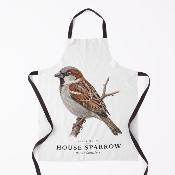 Aperçu de l'œuvre Assiette vintage représentant un moineau domestique - Passer domesticus créée et vendue par SavannahMerch.