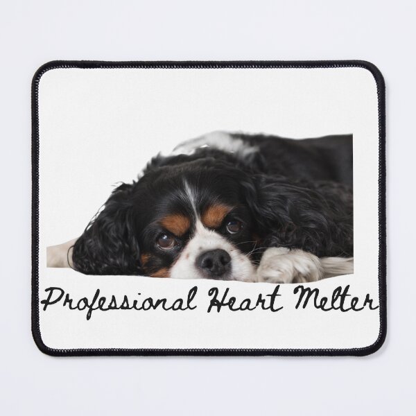 Item preview, Professional Heart Melter Cute Cavalier King Charles Spaniel designed and sold by serotonin75114.