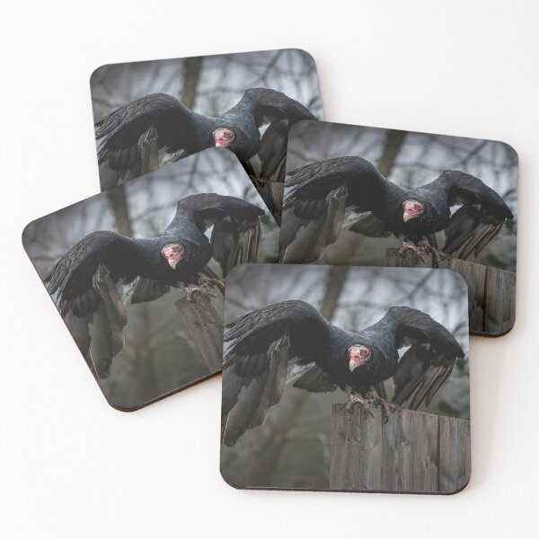 Item preview, Dark and Moody Turkey Vulture perched on fence designed and sold by Astute-Artio-Photography.