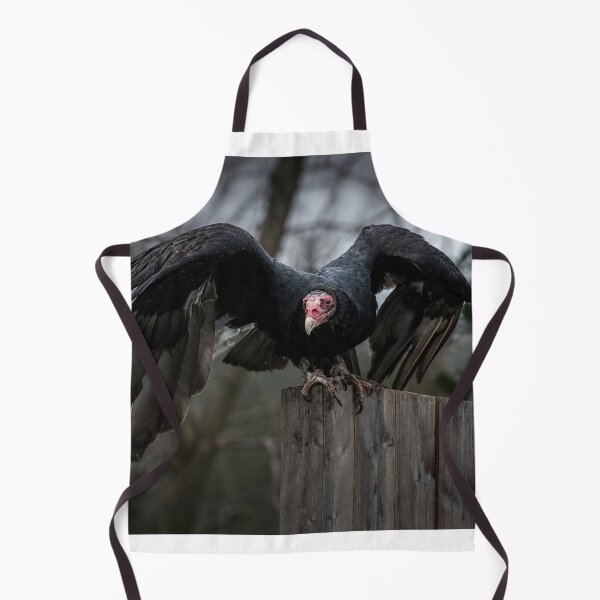 Item preview, Dark and Moody Turkey Vulture perched on fence designed and sold by Astute-Artio-Photography.