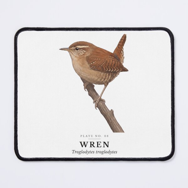 Item preview, Wren Vintage Bird Plate - Troglodytes troglodytes designed and sold by SavannahMerch.
