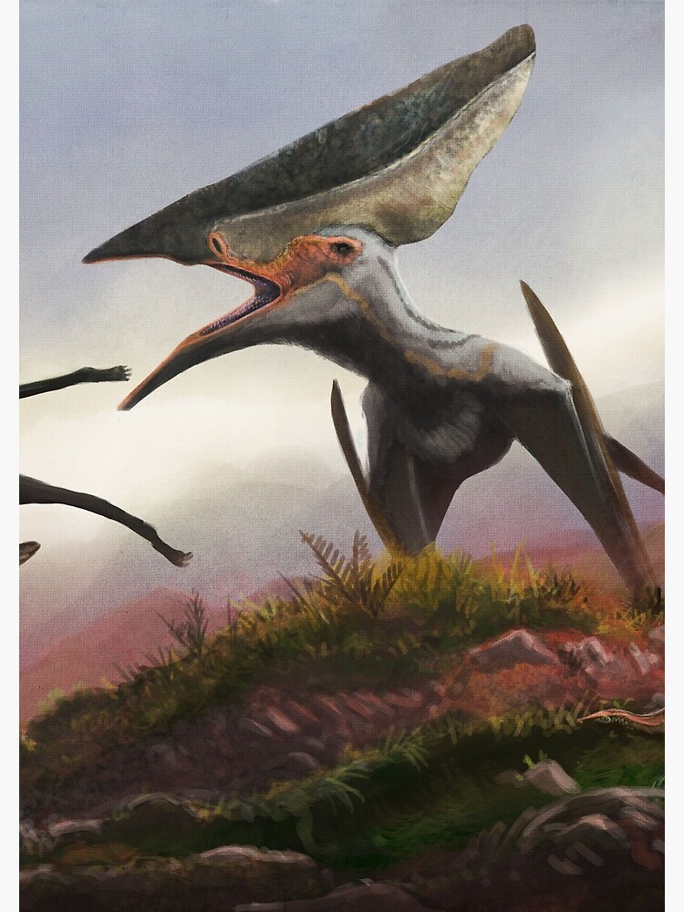 thalassodromeus