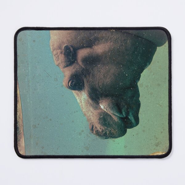 Item preview, Vintage Hippo designed and sold by chelsea125.