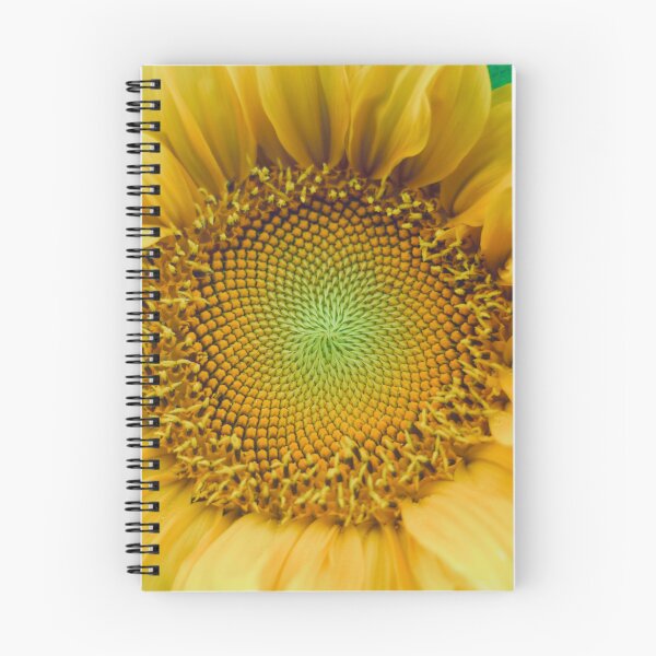 Item preview, Sunflower Close-up Golden Ratio  designed and sold by DenaHaines.