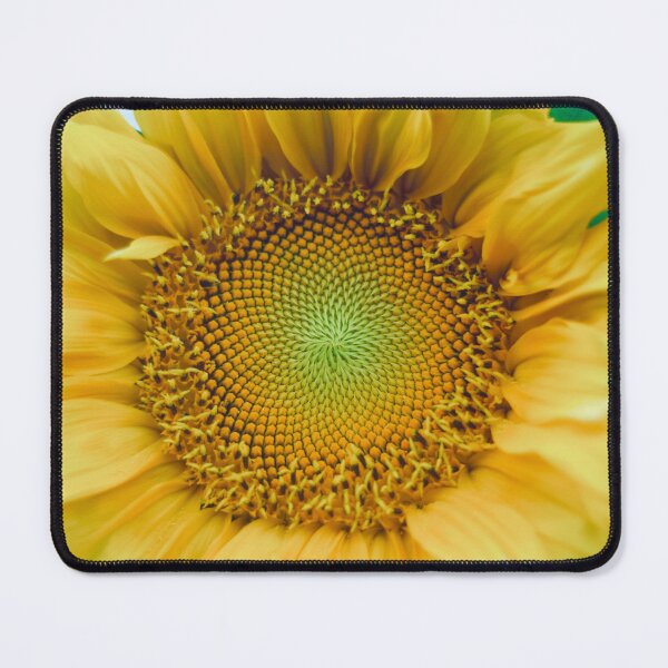 Item preview, Sunflower Close-up Golden Ratio designed and sold by DenaHaines.