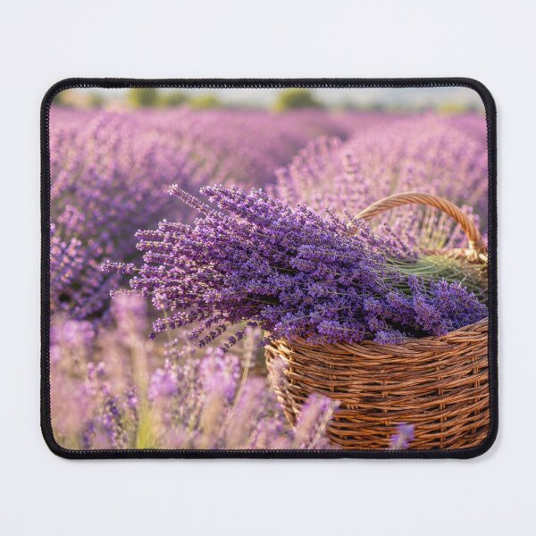 Item preview, Basket of lavender in the field designed and sold by anytka.