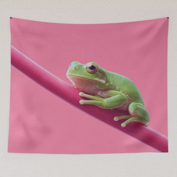 Item preview, Frog sits on a red stick in daylight designed and sold by anytka.