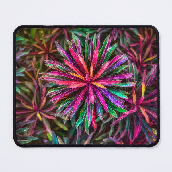Item preview, Fireworks designed and sold by Steve Walser.