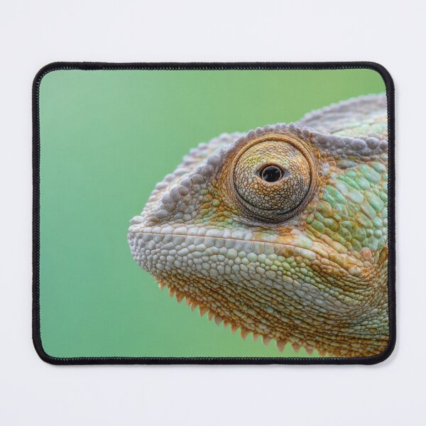 Item preview, Chameleon on a green background designed and sold by anytka.