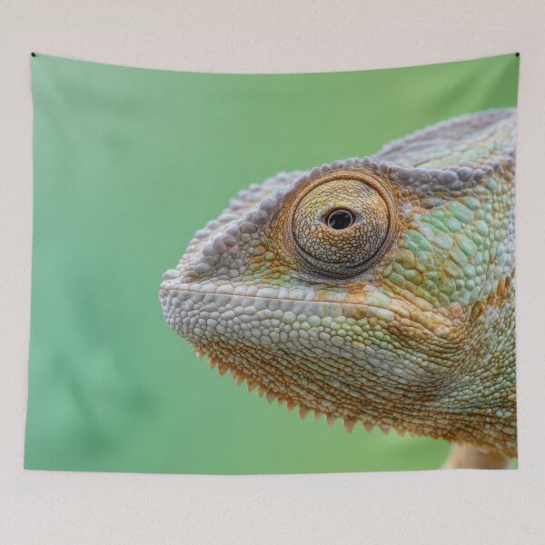 Item preview, Chameleon on a green background designed and sold by anytka.