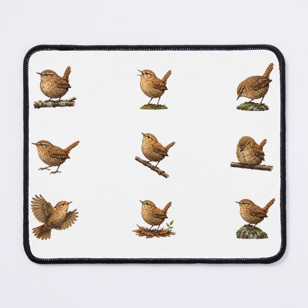 Item preview, Realistic Eurasian Wren Sticker Sheet Vintage Garden Bird Watercolor Illustration designed and sold by Rehnair.