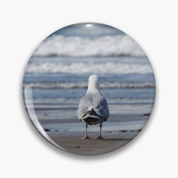 Item preview, Existential Crisis Seagull, Waiting for a Sign (and a Chip) designed and sold by Astute-Artio-Photography.
