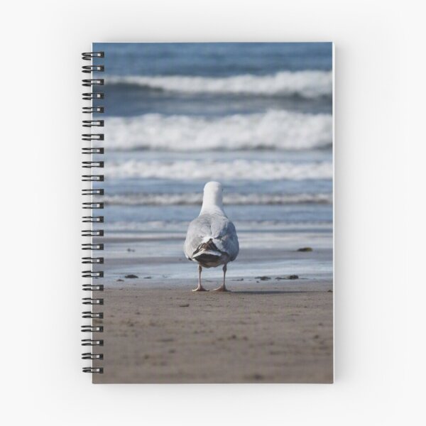 Item preview, Existential Crisis Seagull, Waiting for a Sign (and a Chip) designed and sold by Astute-Artio-Photography.