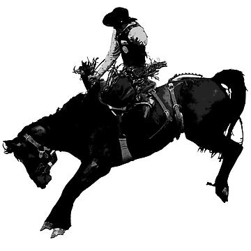 Artwork thumbnail, Bronco Rider - Rodeo Cowboy by NaturePrints