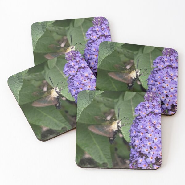 Item preview, Hummingbird Hawk-Moth feeding on Purple Butterfly Bush designed and sold by Astute-Artio-Photography.
