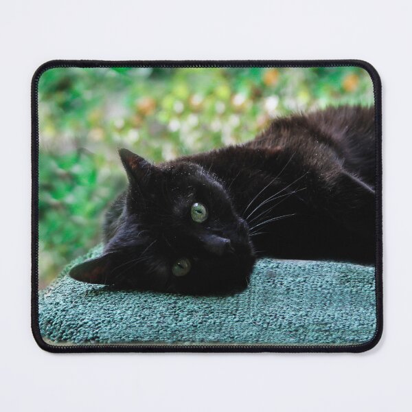 Item preview, Sweet Suki designed and sold by heatherfriedman.