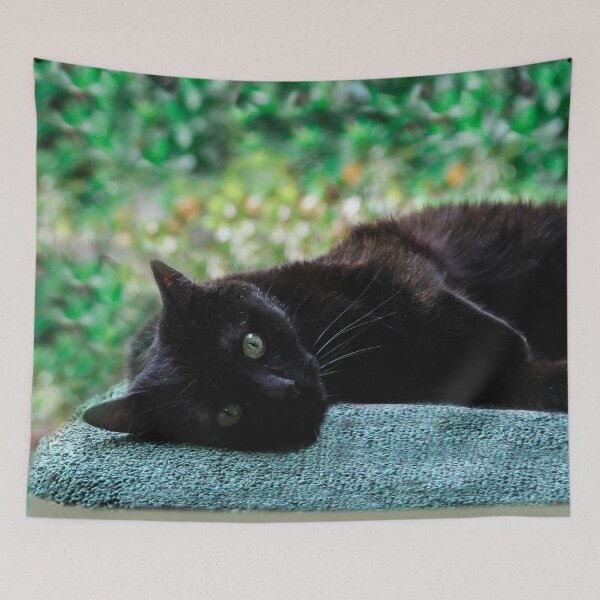 Item preview, Sweet Suki designed and sold by heatherfriedman.