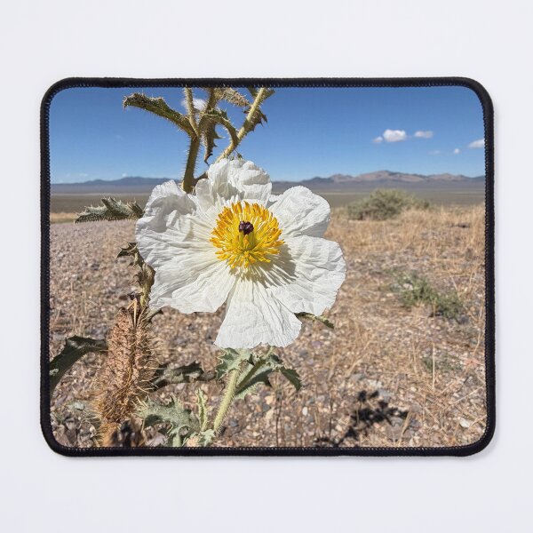 Item preview, Desert Lightkeeper designed and sold by Betsy Phillips.