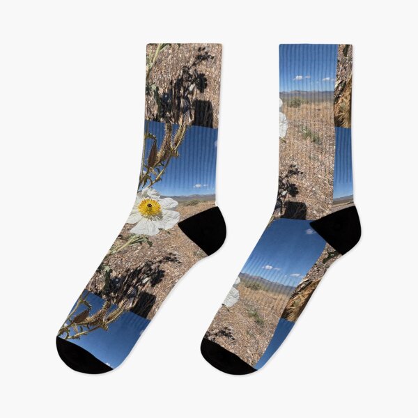 Item preview, Desert Lightkeeper designed and sold by Betsy Phillips.