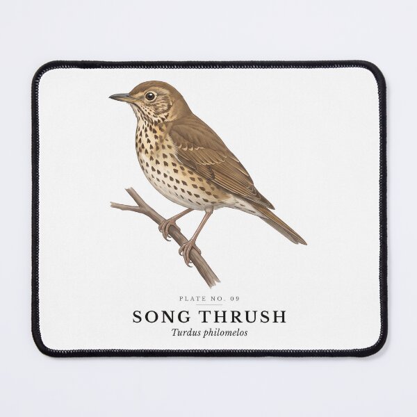Item preview, Song Thrush Vintage Bird Plate - Turdus philomelos designed and sold by SavannahMerch.