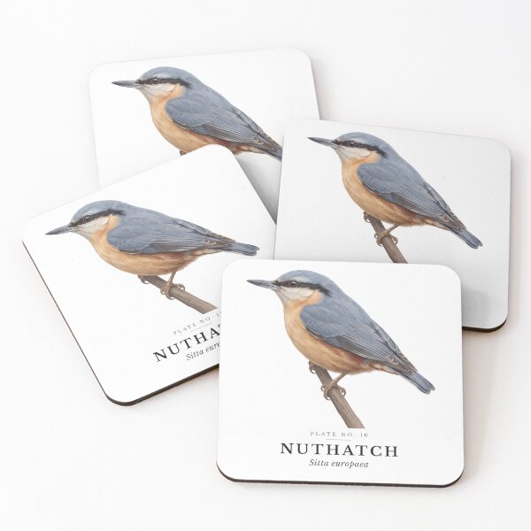 Item preview, Nuthatch Vintage Bird Plate - Sitta europaea designed and sold by SavannahMerch.