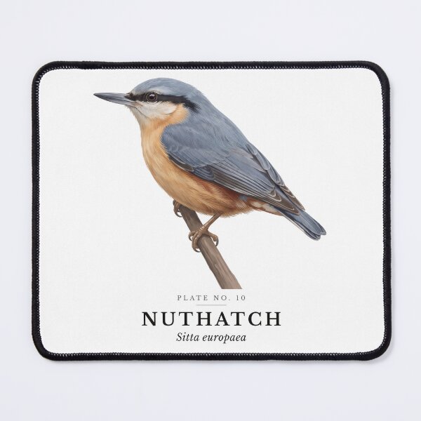 Item preview, Nuthatch Vintage Bird Plate - Sitta europaea designed and sold by SavannahMerch.