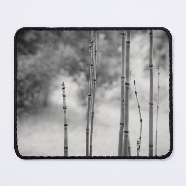 Item preview, Bamboo photograph - Black and white version designed and sold by Origillus.