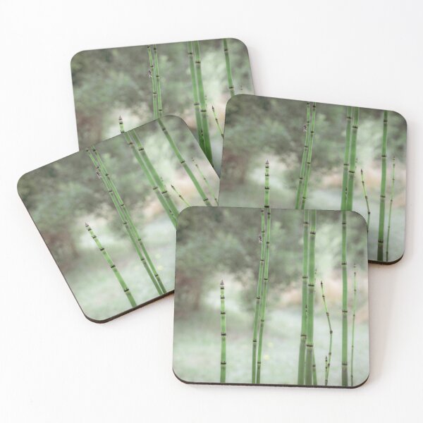 Item preview, Bamboo photograph - Color version designed and sold by Origillus.