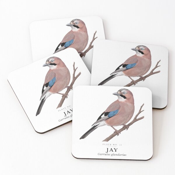 Item preview, Jay Vintage Bird Plate - Garrulus glandarius designed and sold by SavannahMerch.