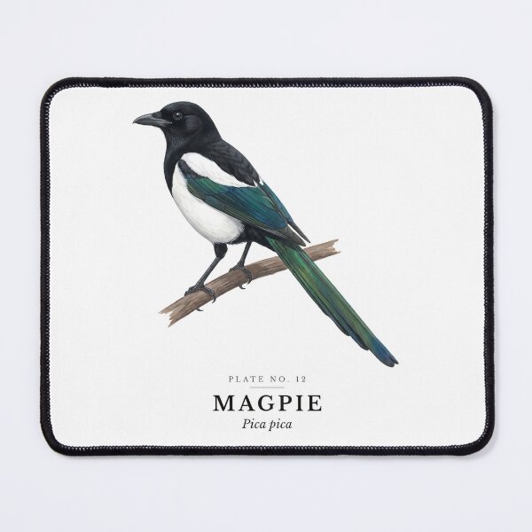 Item preview, Magpie Vintage Bird Plate - Pica pica designed and sold by SavannahMerch.