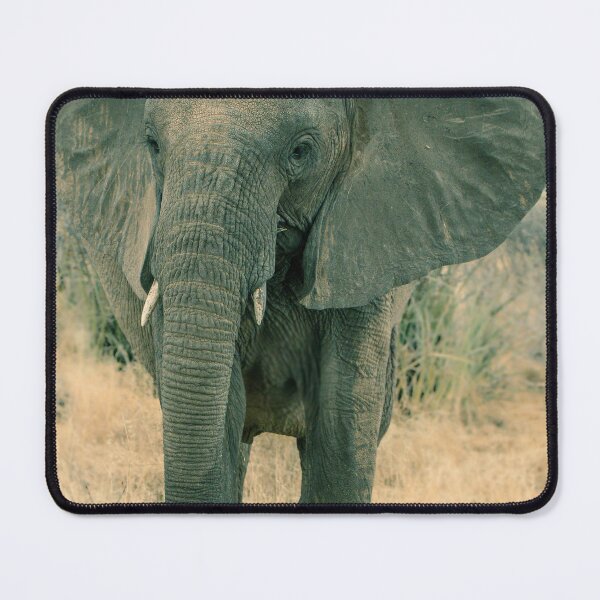 Item preview, Artistic Elephant Original Photography Image designed and sold by African Art Pics.