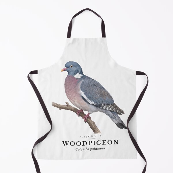 Item preview, Woodpigeon Vintage Bird Plate - Columba palumbus designed and sold by SavannahMerch.