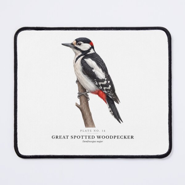 Item preview, Great Spotted Woodpecker Vintage Bird Plate - Dendrocopos major designed and sold by SavannahMerch.