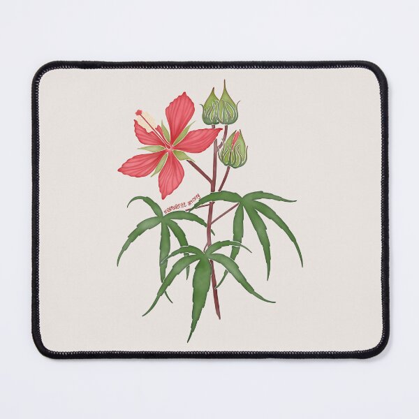 Item preview, Watercolor Texas Star Hibiscus Flower- Texas Native Flower designed and sold by Marguerite Artistry.
