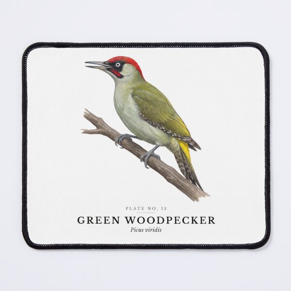 Item preview, Green Woodpecker Vintage Bird Plate - Picus viridis designed and sold by SavannahMerch.