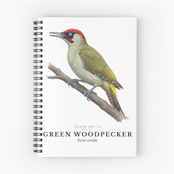 Item preview, Green Woodpecker Vintage Bird Plate - Picus viridis designed and sold by SavannahMerch.