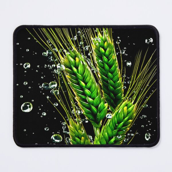 Item preview, Wheat Stalks designed and sold by IMOBILYARI VibeCore.
